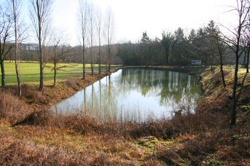 fishing lake for use of guests at La Grange.  Free fishing.